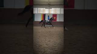 Not rlly but wtvvv #horse #equestrianjourney #equestrian #horsegirl #show