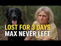 Lost for 3 Days: Max the Labrador Never Left—His Bark Led Rescuers to Her | True Hero Dog Story