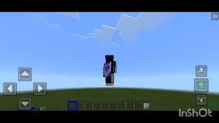 MINELAND SMP LifeSteal RPG ?