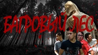 БАГРОВЫЙ ЛЕС [Official film] | Новый Фильм 2018 | CRIMSON FOREST | Мистика