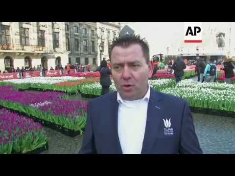 Amsterdam marks national tulip day