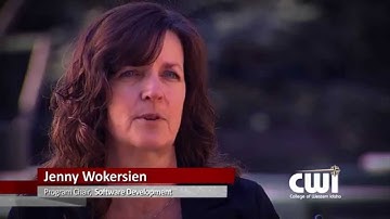 CWI Software Development