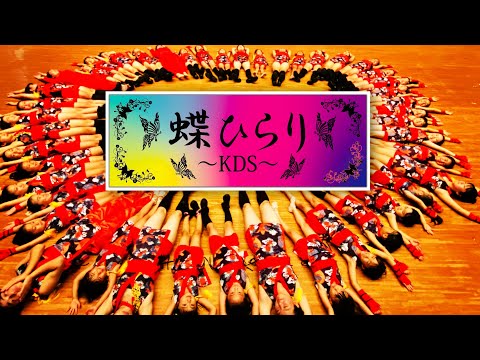 蝶ひらり KDS 2022テレどまつりversion編集版 
