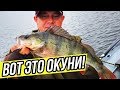 ЛОВЛЯ КРУПНОГО ОКУНЯ на джиг и воблеры. Рыбалка на окуня. Kamfish