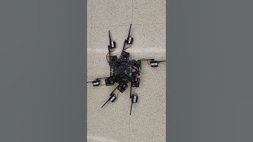 Hexapod Buzzer Test