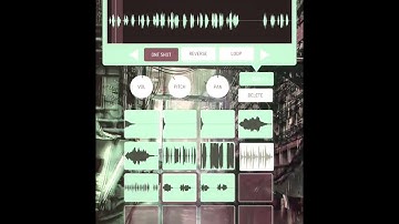 Koala Sampler  Microfreak Samples