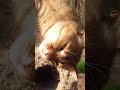 Немного  Вам ярких весенних красок #classicalmusic #music #live #nature #природныепейзажи