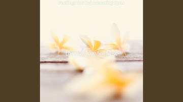 Sparkling Koto and Strings - Vibe for Coconut Oil Massage