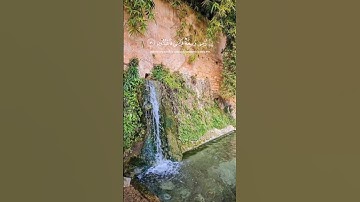 سورة العنكبوت| الاية 55 - 61 القارئ ياسر الدوسري #قران_كريم_ارح_سمعك_وقلبك #ايات #قران_کریم