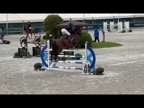 Bora Bora SES 7/8 YO Final CSIYH Opglabbeek