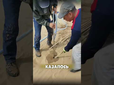Китайская ДОРОГА в пустыни спасает за МИЛЛИАРДЫ🔥🏜️🇨🇳