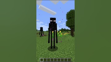 Endermen speak In Reversed English In Minecraft