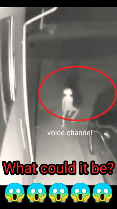 #shortvideo #voice #tendingvideo