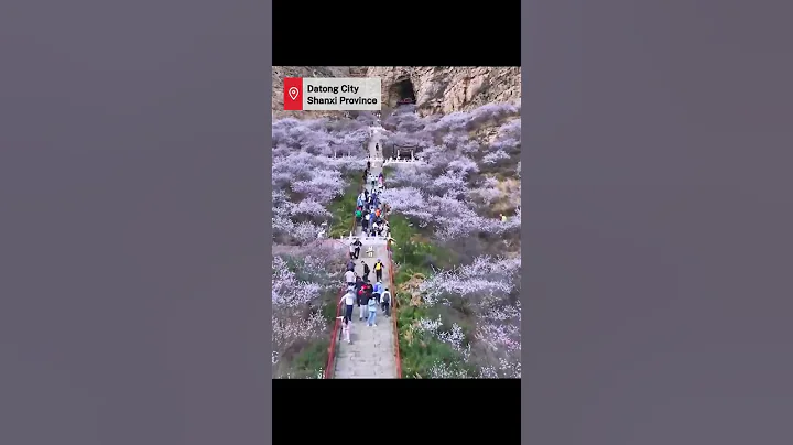 Breathtaking peach blossoms wow tourists in Shanxi - DayDayNews