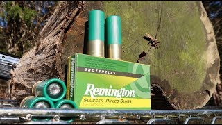 12 gauge slugs - SPLITTING LOGS!!! screenshot 5