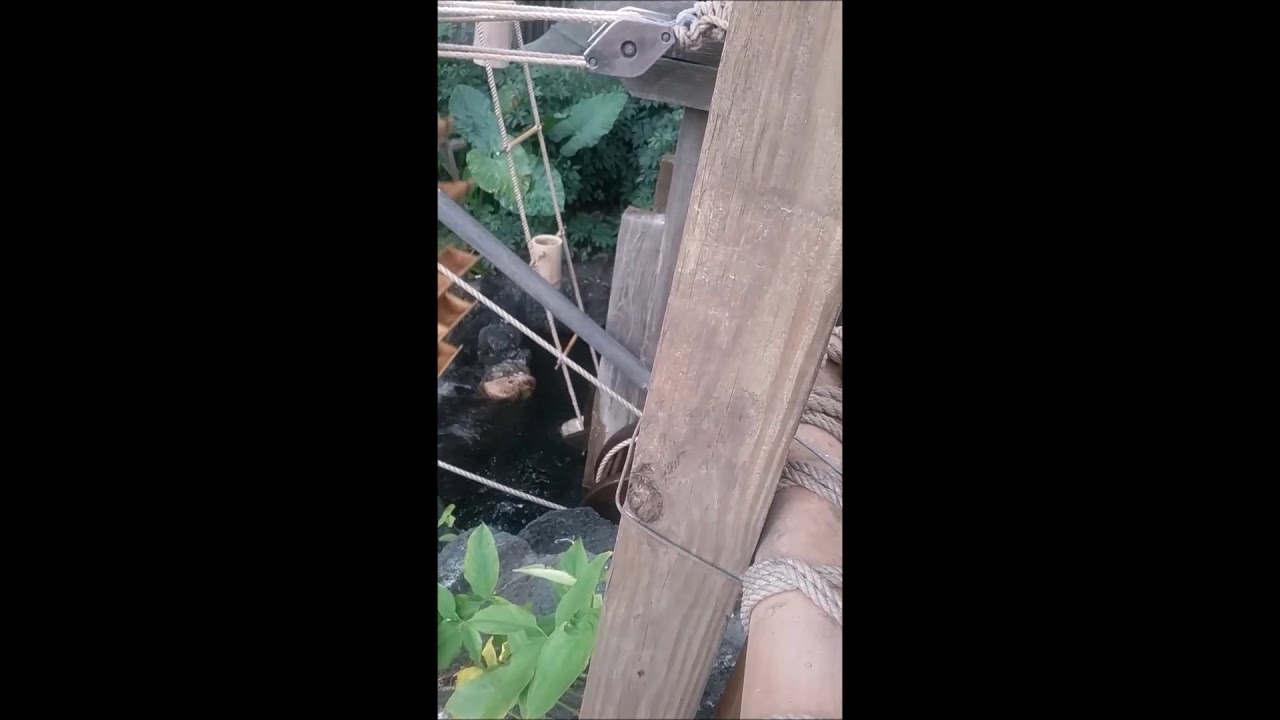 SWISS FAMILY ROBINSON'S TREE HOUSE AT DISNEY'S MAGIC KINGDOM - YouTube