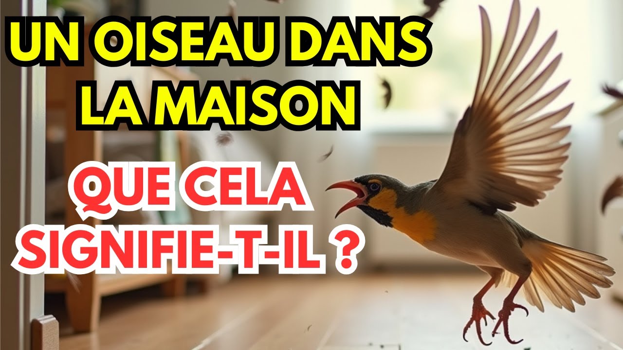 Des Oiseaux Entrent Chez Vous : Signe de Chance ou de Malheur