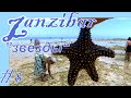 #8. Zanzubar-Nungwi-Tanzania. Необыкновенные ЗВЕЗДЫ Занзибара (The Starfish) на пляже Нунгви в отлив