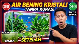 PRO FISH STORE SECRETS! How to Get Crystal Clear Aquarium Water Without Daily Water Changes!