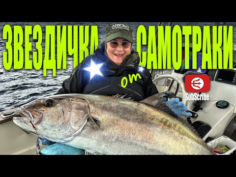 Izkušnja igranja Fish Boom online - seveda na spletni igralnici!