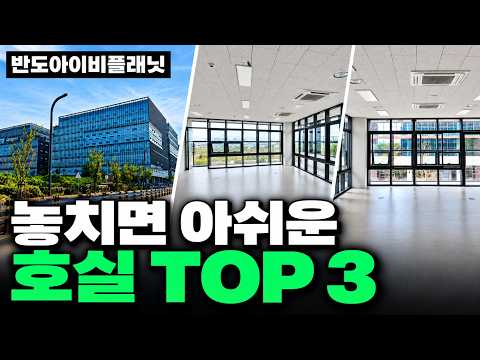 놓치면 아쉬운 호실 TOP 3 영상 썸네일