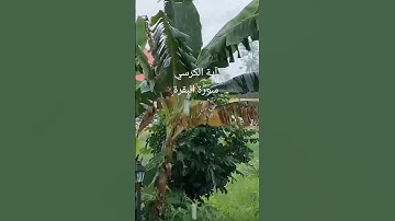 آية الكرسي كامله #سورة_البقرة #قرآن #قران_كريم #قرآن_كريم #اية_الكرسي