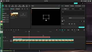 I GOT CAPCUT RUNNING ON LINUX USING WINE (read disc)