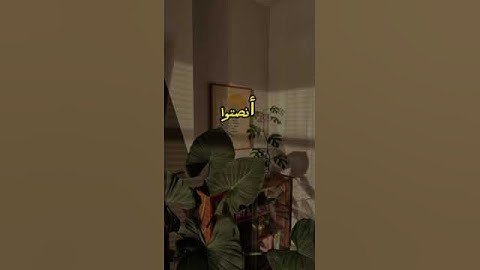 تلاوة عطرة لآيات من القرآن الكريم القارئ نويري موسى