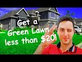 how to get a green lawn