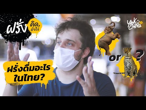 ชาวต่างชาติในไทย ดริ๊งอะไรกัน? • What Foreigners in Thailand Drink?