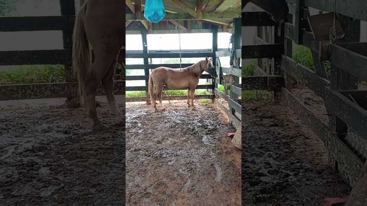 27 de fevereiro de 2026