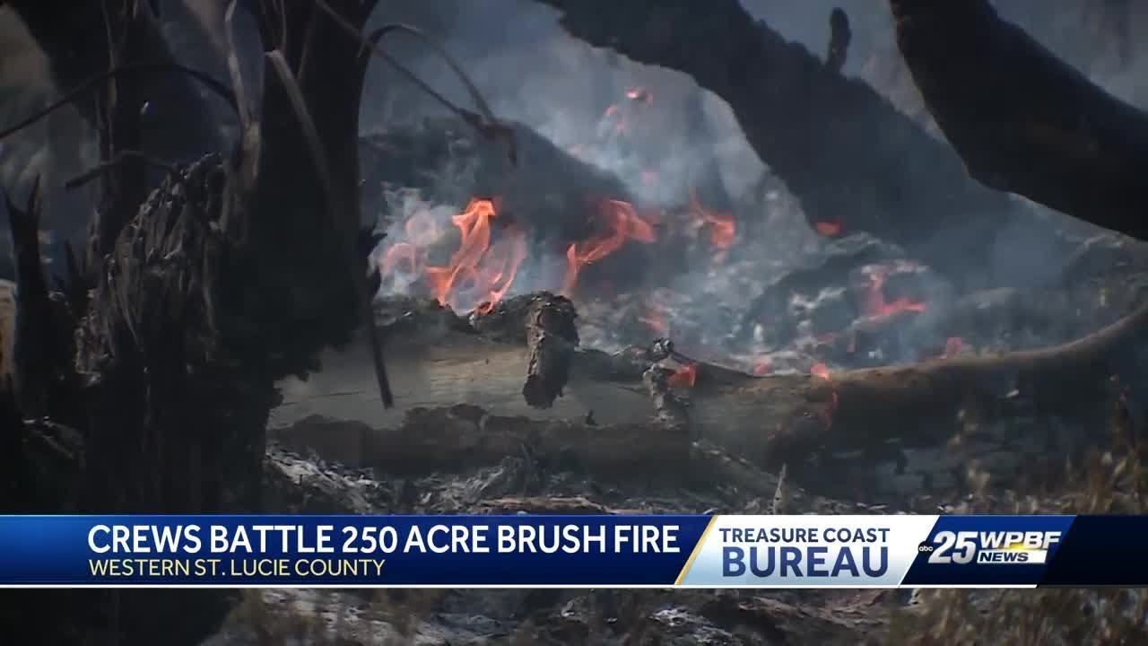Brush fire in western St. Lucie County originated from lightning strike ...