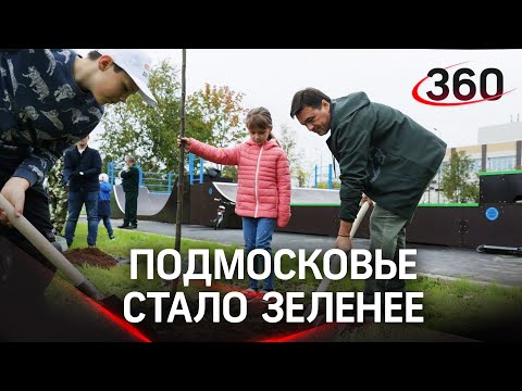 Новые скейт-площадка и зелёная зона в Краснознаменске