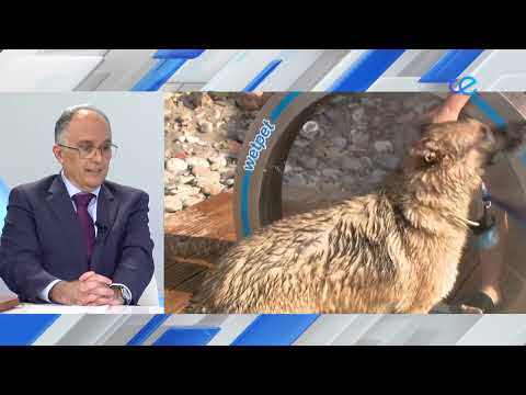 Fin de medidas cautelares impuestas por la detección de un caso de rabia hace 6 meses