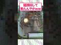 【2ch面白いスレ】猫を誘拐してきてしまった#2ch #2ch面白いスレ