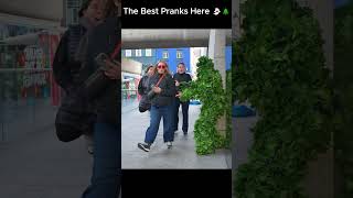 bushman prank #funnymemes #memesdaily #comedy #bushman