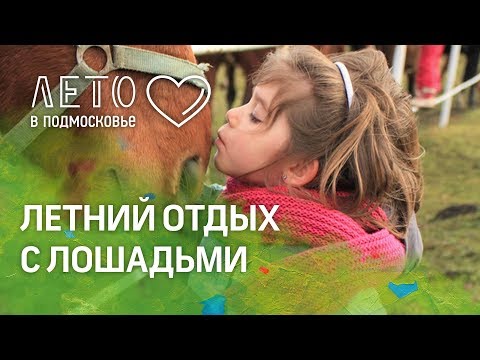 «Лето в Подмосковье». Конный спорт, коттедж у озера, тимбилдинг и контактный зоопарк