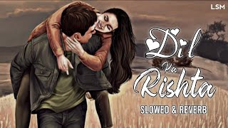 Dil Ka Rishta - (Slowed+Reverb) Lofi | Udit Narayan, Kumar Sanu, Alka Y | Hindi Song | Lyrics | LSM screenshot 4