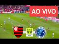 Flamengo x Cruzeiro AO VIVO - Campeonato 2026 ⚽