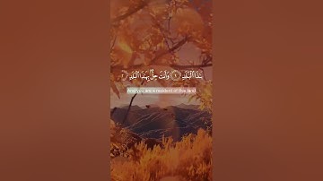 تلاوة خاشعة تهز القلوب | "لا أقسم بهذا البلد" بصوت المنشاوي  🌿