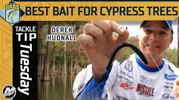 The ABSOLUTE BEST bait for Cypress Trees (Derek Hu...