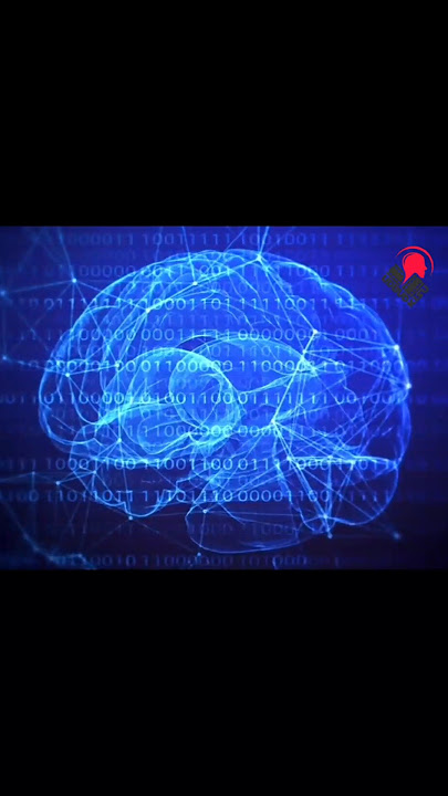 human brain...!😱 #amazingfacts #didyouknow #human #englishshorts #udbut_kisu