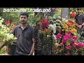 flower House " 2 " ( season - 2 )