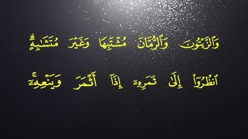 من أجمل تلاوات القارئ محمود الشحات
