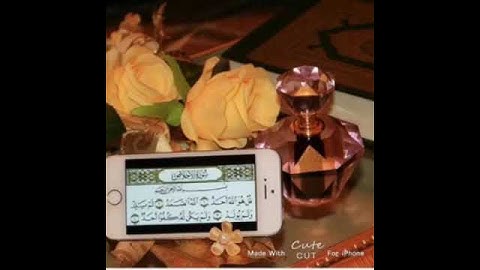 فضل سورة الاخلاص لشيخ صالح المغامسي