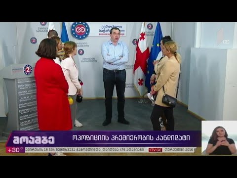 ოპოზიციის პრემიერობის კანდიდატი