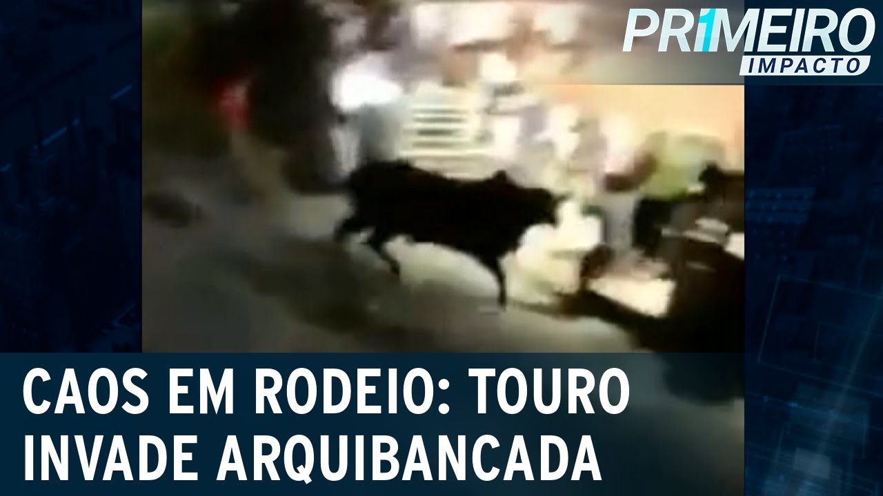 Touro Invade Arquibancada De Rodeio E Fere Pessoas Primeiro