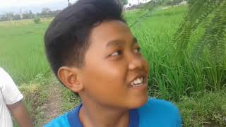 Pergi ke sawah - ketemu pak tani,,, yang sudah lama jadi petani,,,.....