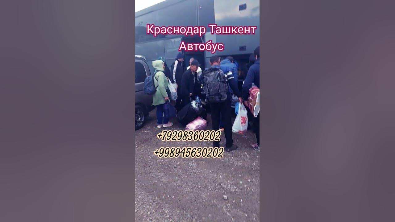 Краснодар Ташкент Автобус #анапа #автобус #тошкент #топ #кино #ростов # ...