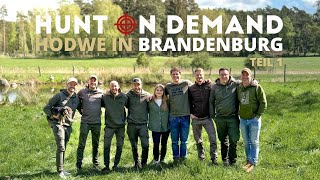 Jagdwochenende in Brandenburg – Hunt on Demand Weekend 2024 - So geht es los!